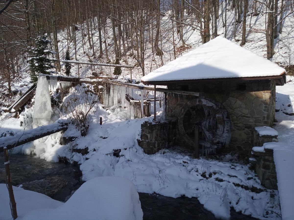 Котедж "Магур" Bukovets ภายนอก รูปภาพ